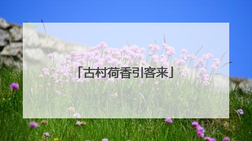 古村荷香引客来