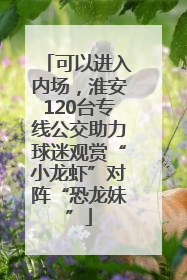 可以进入内场，淮安120台专线公交助力球迷观赏“小龙虾”对阵“恐龙妹”