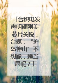 台积电发声明硬刚美芯片关税，台媒：“护岛神山”不想跪，赖当局呢？