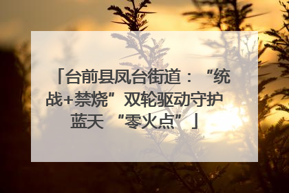 台前县凤台街道：“统战+禁烧”双轮驱动守护蓝天 “零火点”