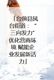 台前县凤台街道：“三向发力”优化营商环境 赋能企业发展新活力