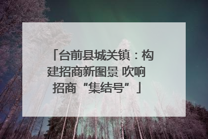 台前县城关镇：构建招商新图景 吹响招商“集结号”