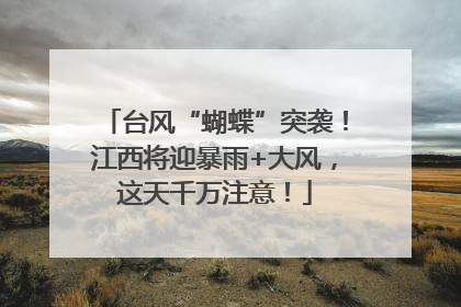 台风“蝴蝶”突袭！江西将迎暴雨+大风，这天千万注意！