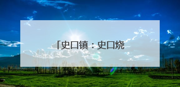 史口镇：史口烧鸡香飘黄河大集 传统美食受热捧