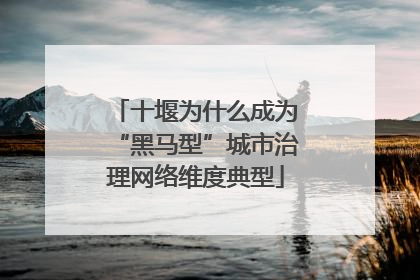 十堰为什么成为“黑马型”城市治理网络维度典型
