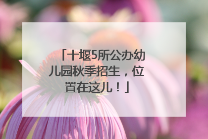 十堰5所公办幼儿园秋季招生，位置在这儿！