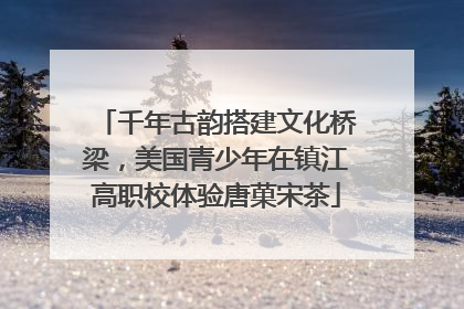 千年古韵搭建文化桥梁，美国青少年在镇江高职校体验唐菓宋茶