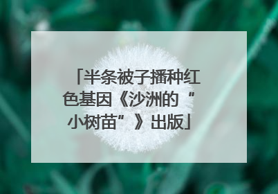 半条被子播种红色基因《沙洲的“小树苗”》出版