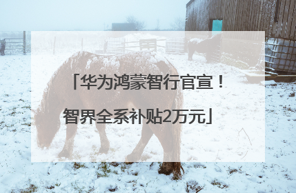 华为鸿蒙智行官宣！智界全系补贴2万元