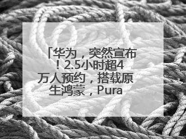 华为，突然宣布！2.5小时超4万人预约，搭载原生鸿蒙，Pura 80外观曝光