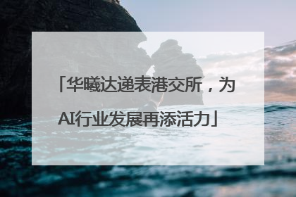 华曦达递表港交所，为AI行业发展再添活力