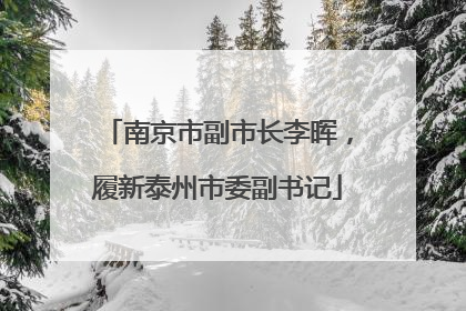 南京市副市长李晖，履新泰州市委副书记