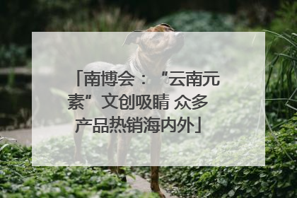 南博会：“云南元素”文创吸睛 众多产品热销海内外