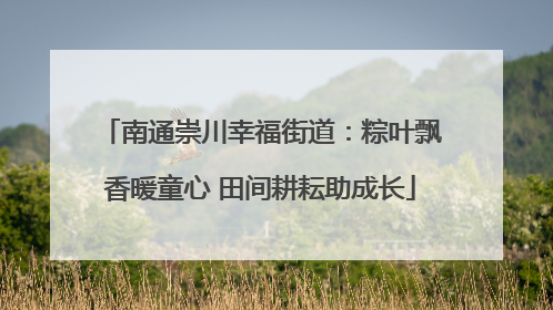 南通崇川幸福街道：粽叶飘香暖童心 田间耕耘助成长