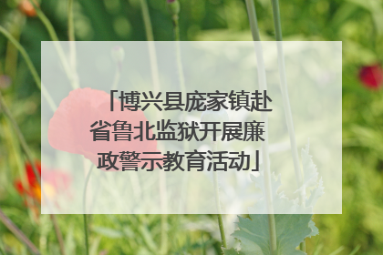 博兴县庞家镇赴省鲁北监狱开展廉政警示教育活动