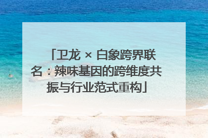 卫龙 × 白象跨界联名：辣味基因的跨维度共振与行业范式重构