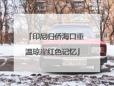 印尼归侨海口重温琼崖红色记忆