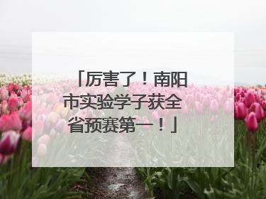 厉害了！南阳市实验学子获全省预赛第一！