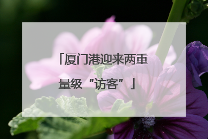 厦门港迎来两重量级“访客”