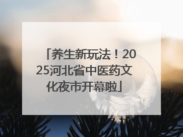 养生新玩法！2025河北省中医药文化夜市开幕啦