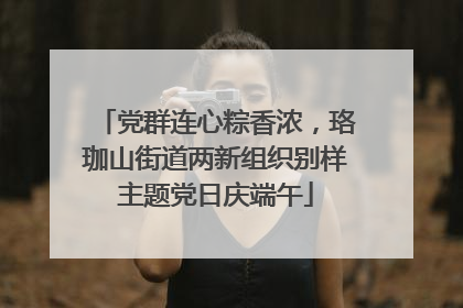 党群连心粽香浓，珞珈山街道两新组织别样主题党日庆端午