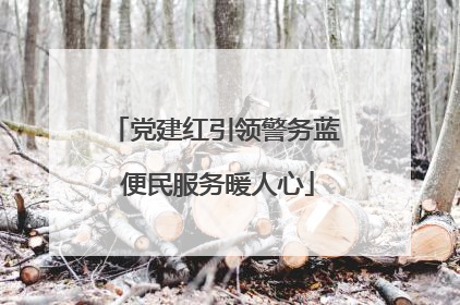 党建红引领警务蓝 便民服务暖人心