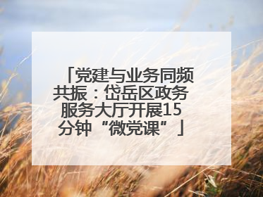 党建与业务同频共振：岱岳区政务服务大厅开展15分钟“微党课”