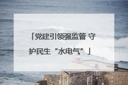 党建引领强监管 守护民生“水电气”
