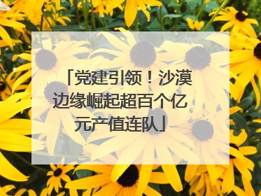党建引领！沙漠边缘崛起超百个亿元产值连队