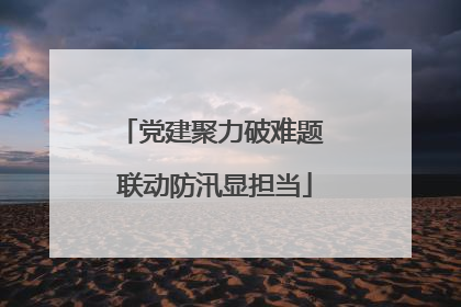 党建聚力破难题 联动防汛显担当