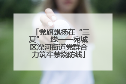 党旗飘扬在“三夏”一线——宛城区溧河街道党群合力筑牢禁烧防线
