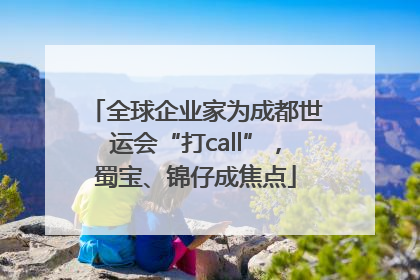 全球企业家为成都世运会“打call”，蜀宝、锦仔成焦点