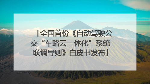 全国首份《自动驾驶公交“车路云一体化”系统联调导则》白皮书发布