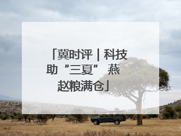 冀时评｜科技助“三夏” 燕赵粮满仓