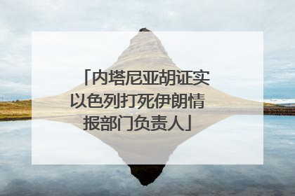 内塔尼亚胡证实以色列打死伊朗情报部门负责人