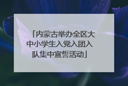 内蒙古举办全区大中小学生入党入团入队集中宣誓活动