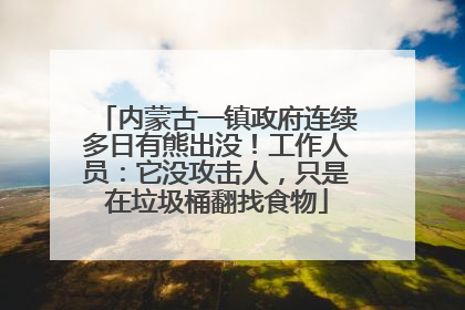 内蒙古一镇政府连续多日有熊出没！工作人员：它没攻击人，只是在垃圾桶翻找食物