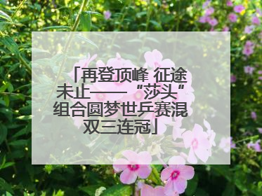 再登顶峰 征途未止——“莎头”组合圆梦世乒赛混双三连冠