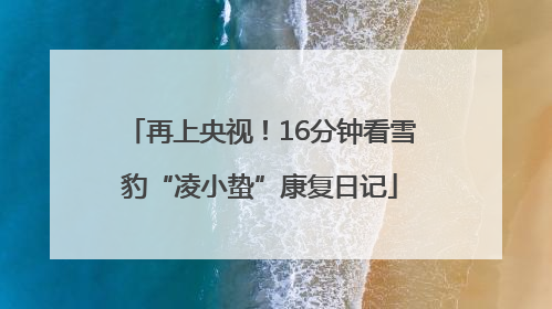 再上央视！16分钟看雪豹“凌小蛰”康复日记