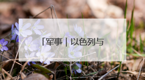 军事｜以色列与伊朗各自罢手的密码是什么？