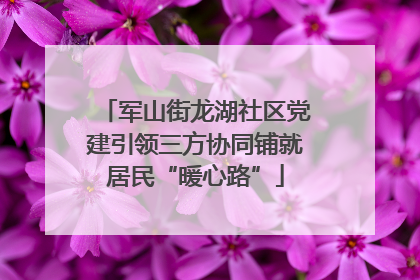 军山街龙湖社区党建引领三方协同铺就居民“暖心路”