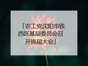 农工党沈阳市铁西区基层委员会召开换届大会