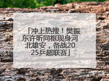 冲上热搜！樊振东许昕同框现身河北雄安，备战2025乒超联赛