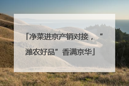 净菜进京产销对接，“潍农好品”香满京华