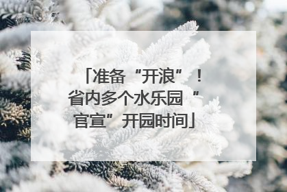准备“开浪”！省内多个水乐园“官宣”开园时间