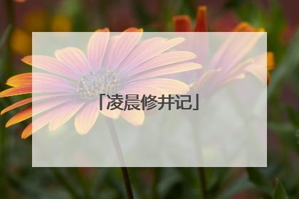 凌晨修井记