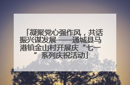 凝聚党心强作风，共话振兴谋发展——通城县马港镇金山村开展庆“七一”系列庆祝活动