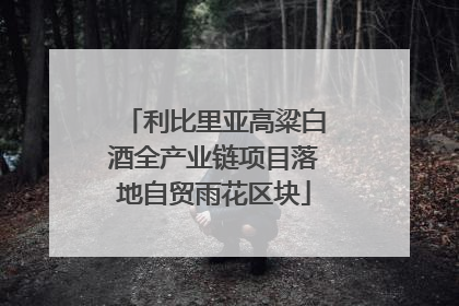 利比里亚高粱白酒全产业链项目落地自贸雨花区块