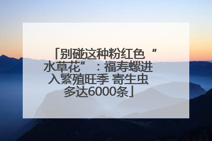 别碰这种粉红色“水草花”：福寿螺进入繁殖旺季 寄生虫多达6000条