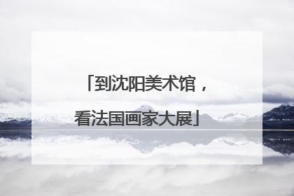 到沈阳美术馆，看法国画家大展